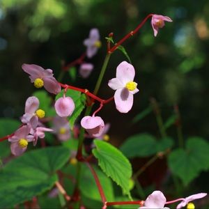 Meet your Posher, Alexandria